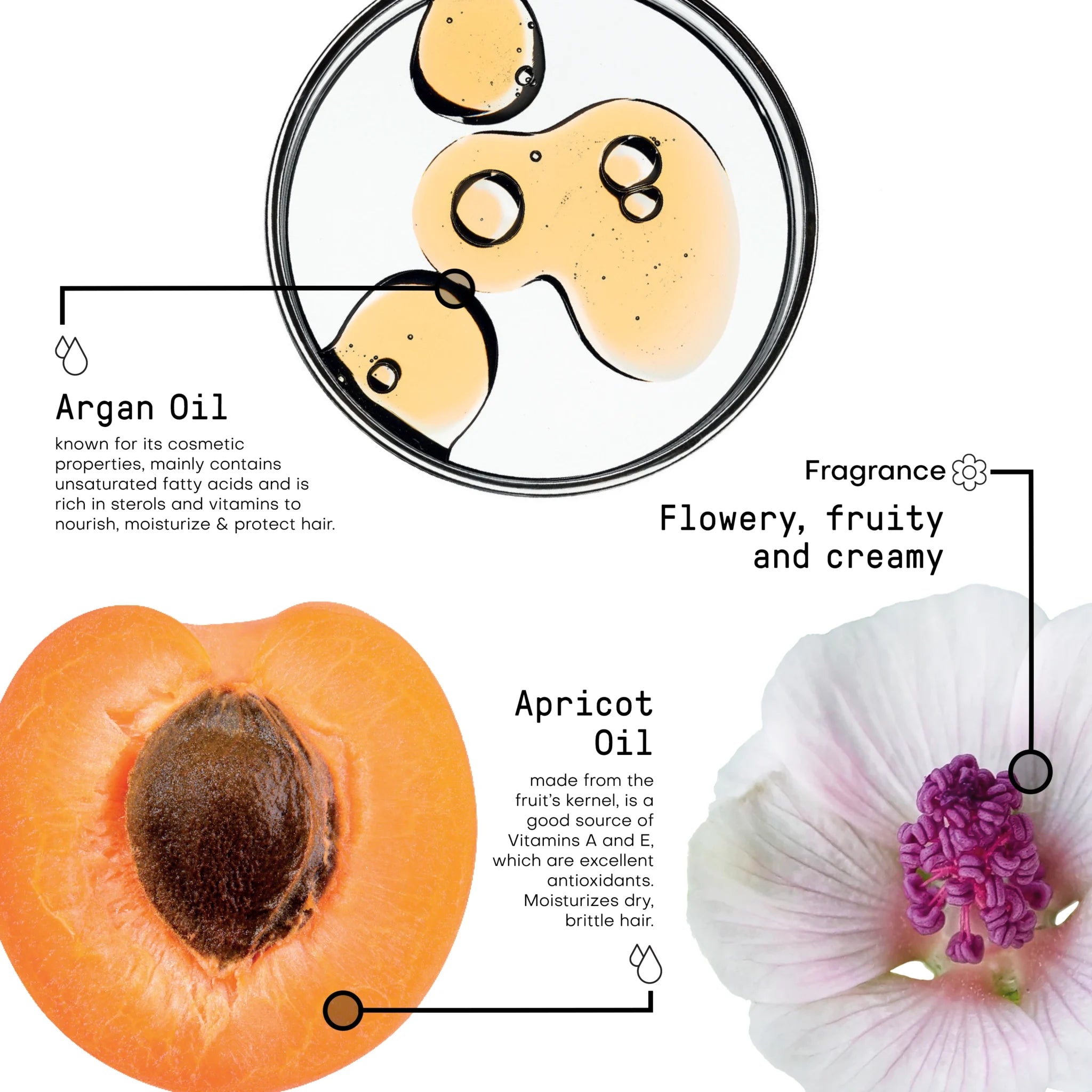 Framesi Set Sublimiss Oil par degradat Sampon cu ulei de argan 250 ml+ Balsam cu argan 250ml - Coafor Bucuresti