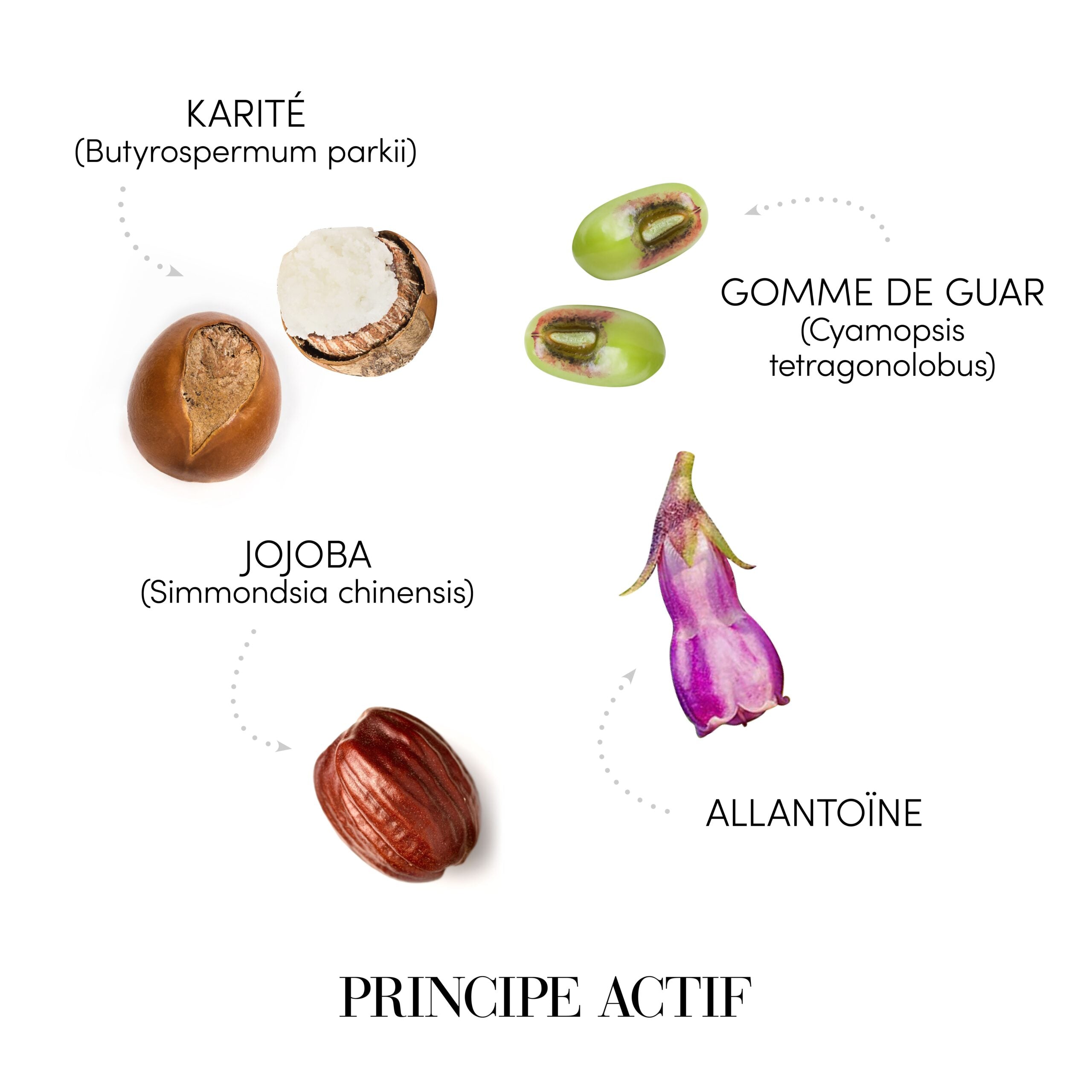 Masca pentru par uscat/ masca hidratare Medavita-150 ml - Coafor Bucuresti